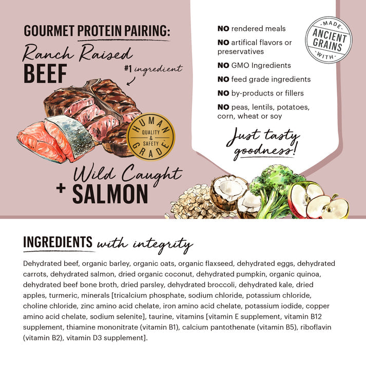 The Honest Kitchen Gourmet Grains Beef & Salmon Recipe Dehydrated Dog Food