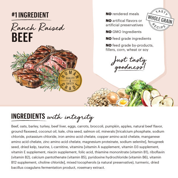 The Honest Kitchen Whole Food Clusters Whole Grain Beef, Oats & Turkey Recipe Dry Dog Food