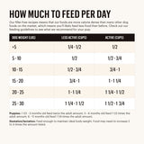 The Honest Kitchen Whole Food Clusters Small Breed Whole Grain Chicken Recipe Dry Dog Food